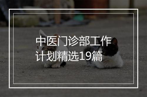 中医门诊部工作计划精选19篇