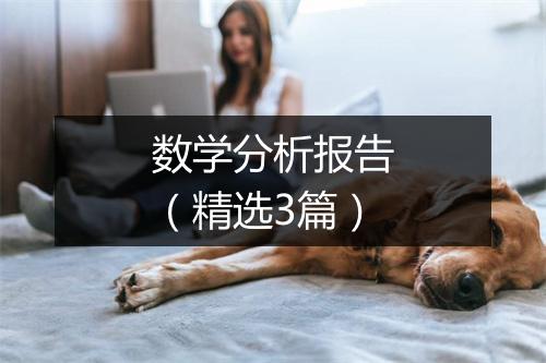 数学分析报告（精选3篇）