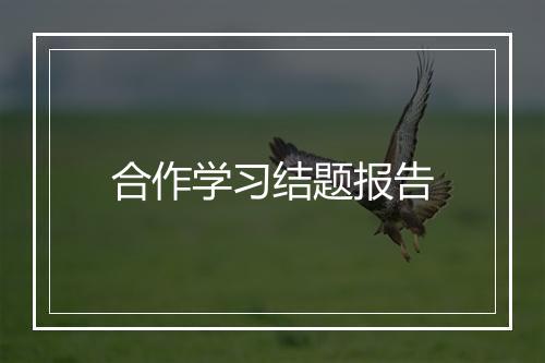 合作学习结题报告
