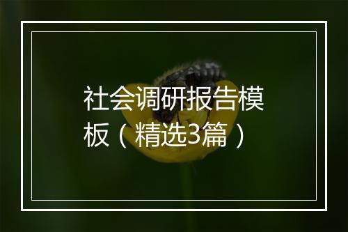 社会调研报告模板（精选3篇）