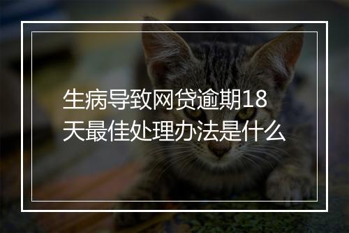 生病导致网贷逾期18天最佳处理办法是什么