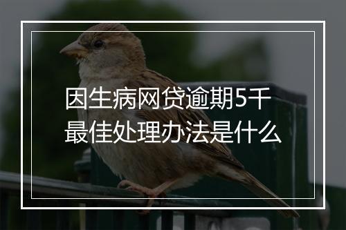 因生病网贷逾期5千最佳处理办法是什么