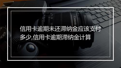 信用卡逾期未还滞纳金应该支付多少,信用卡逾期滞纳金计算