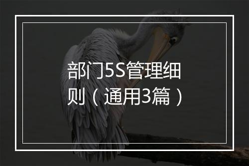 部门5S管理细则（通用3篇）