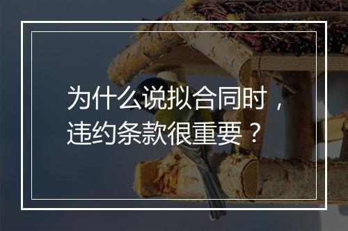 为什么说拟合同时，违约条款很重要？