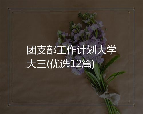 团支部工作计划大学大三(优选12篇)