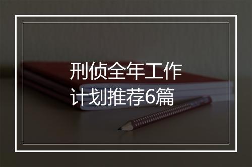 刑侦全年工作计划推荐6篇