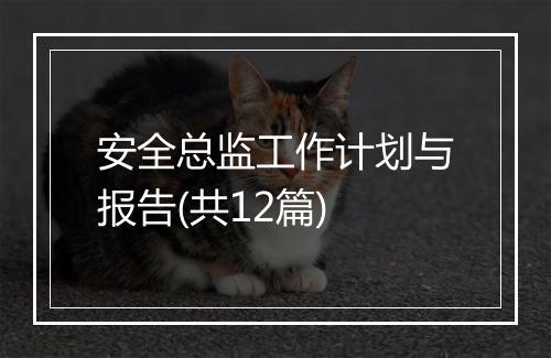 安全总监工作计划与报告(共12篇)