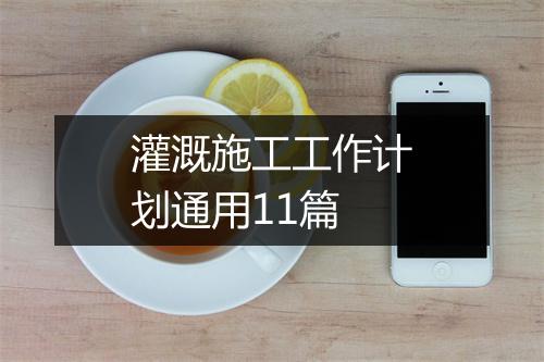 灌溉施工工作计划通用11篇