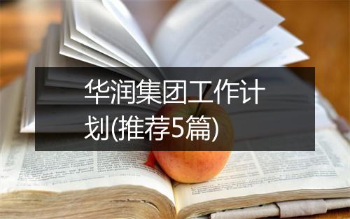 华润集团工作计划(推荐5篇)