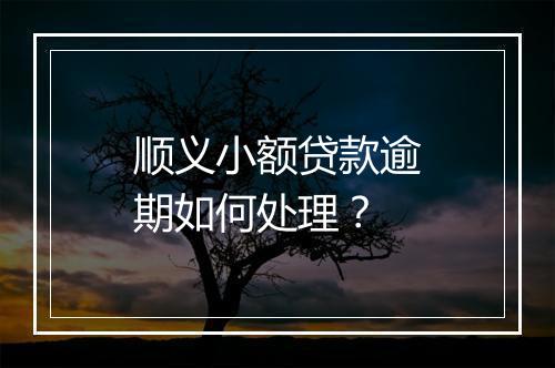 顺义小额贷款逾期如何处理？