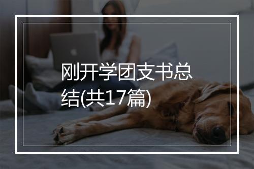 刚开学团支书总结(共17篇)