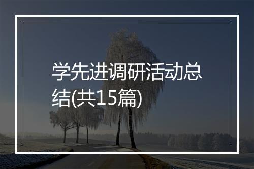 学先进调研活动总结(共15篇)