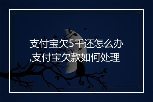 支付宝欠5千还怎么办,支付宝欠款如何处理