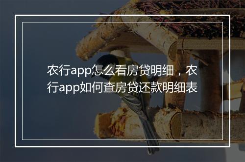 农行app怎么看房贷明细，农行app如何查房贷还款明细表