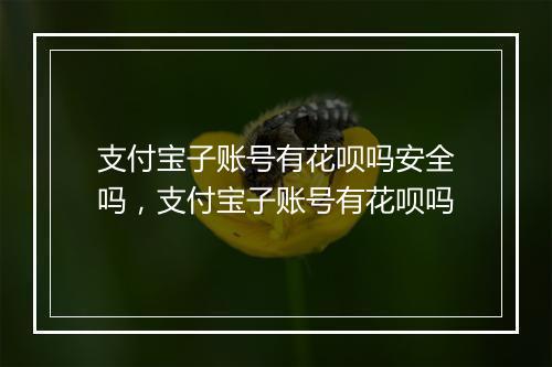 支付宝子账号有花呗吗安全吗，支付宝子账号有花呗吗