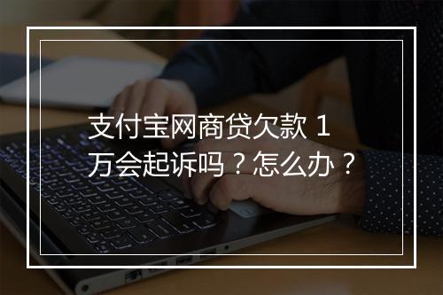 支付宝网商贷欠款 1 万会起诉吗？怎么办？