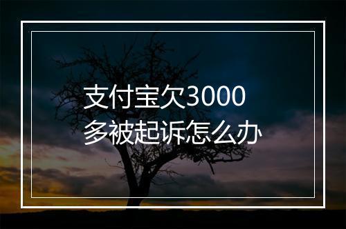 支付宝欠3000多被起诉怎么办