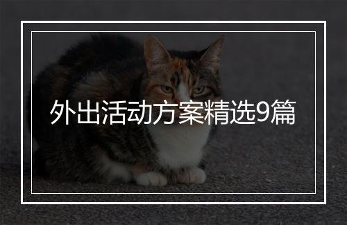 外出活动方案精选9篇