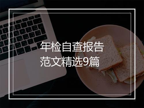 年检自查报告范文精选9篇