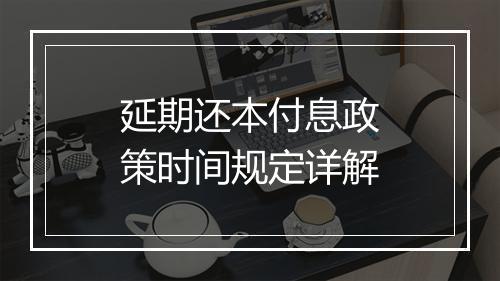延期还本付息政策时间规定详解