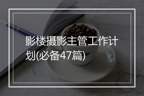 影楼摄影主管工作计划(必备47篇)