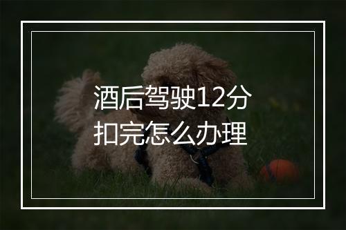 酒后驾驶12分扣完怎么办理