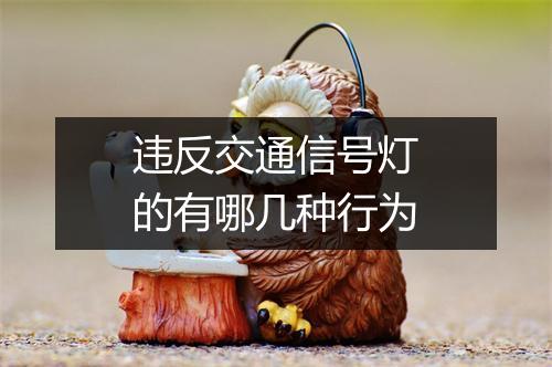 违反交通信号灯的有哪几种行为