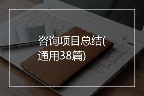 咨询项目总结(通用38篇)