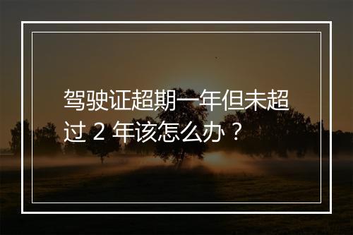 驾驶证超期一年但未超过 2 年该怎么办？