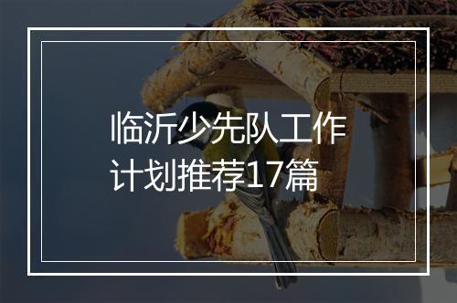 临沂少先队工作计划推荐17篇