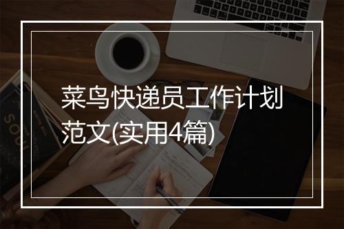菜鸟快递员工作计划范文(实用4篇)