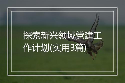 探索新兴领域党建工作计划(实用3篇)