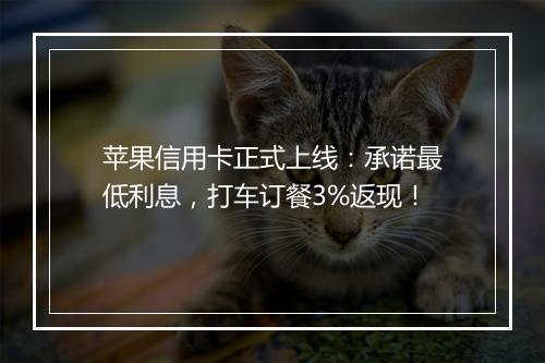 苹果信用卡正式上线：承诺最低利息，打车订餐3%返现！