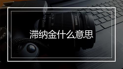 滞纳金什么意思