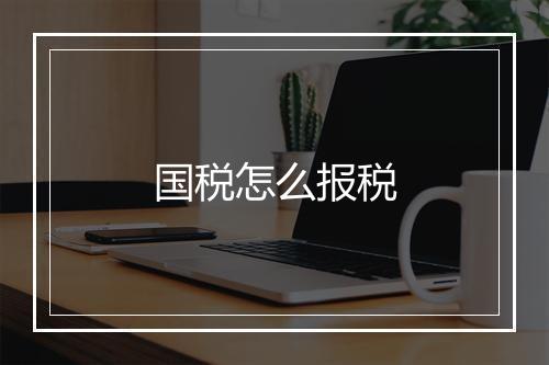 国税怎么报税