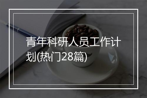青年科研人员工作计划(热门28篇)