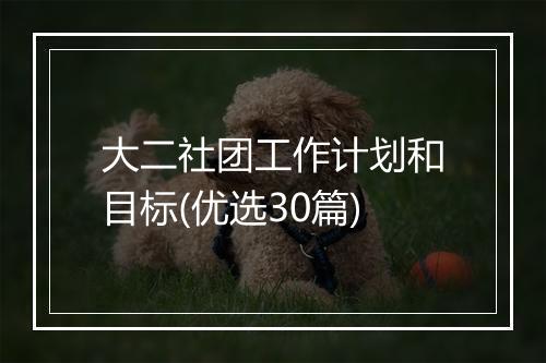 大二社团工作计划和目标(优选30篇)