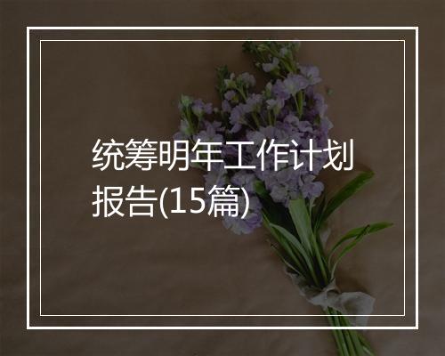 统筹明年工作计划报告(15篇)