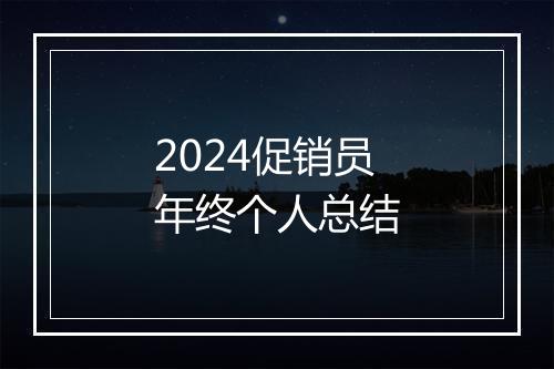 2024促销员年终个人总结