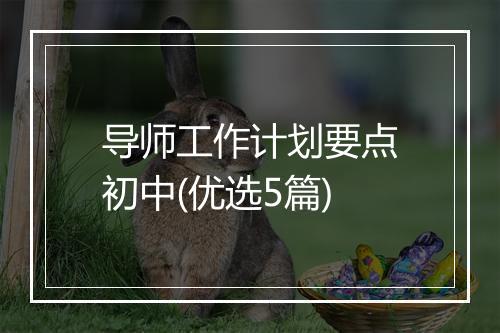 导师工作计划要点初中(优选5篇)