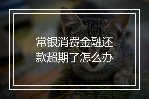 常银消费金融还款超期了怎么办