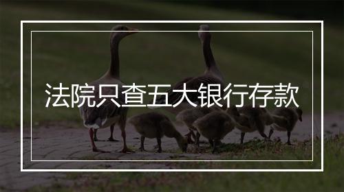 法院只查五大银行存款