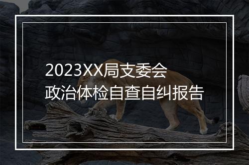 2023XX局支委会政治体检自查自纠报告