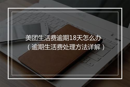 美团生活费逾期18天怎么办（逾期生活费处理方法详解）