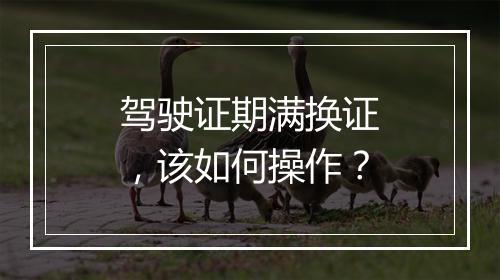 驾驶证期满换证，该如何操作？