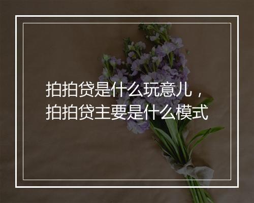 拍拍贷是什么玩意儿，拍拍贷主要是什么模式