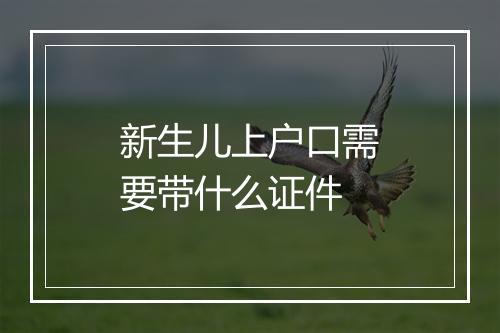 新生儿上户口需要带什么证件