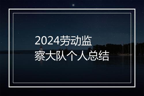 2024劳动监察大队个人总结
