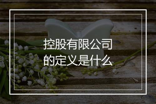 控股有限公司的定义是什么